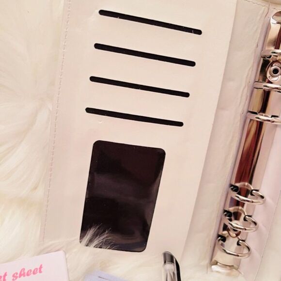 Low Priority Budget Binder - Picture 8 of 9